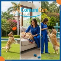 Comuni-Can entrenamiento canino en positivo - foto 5