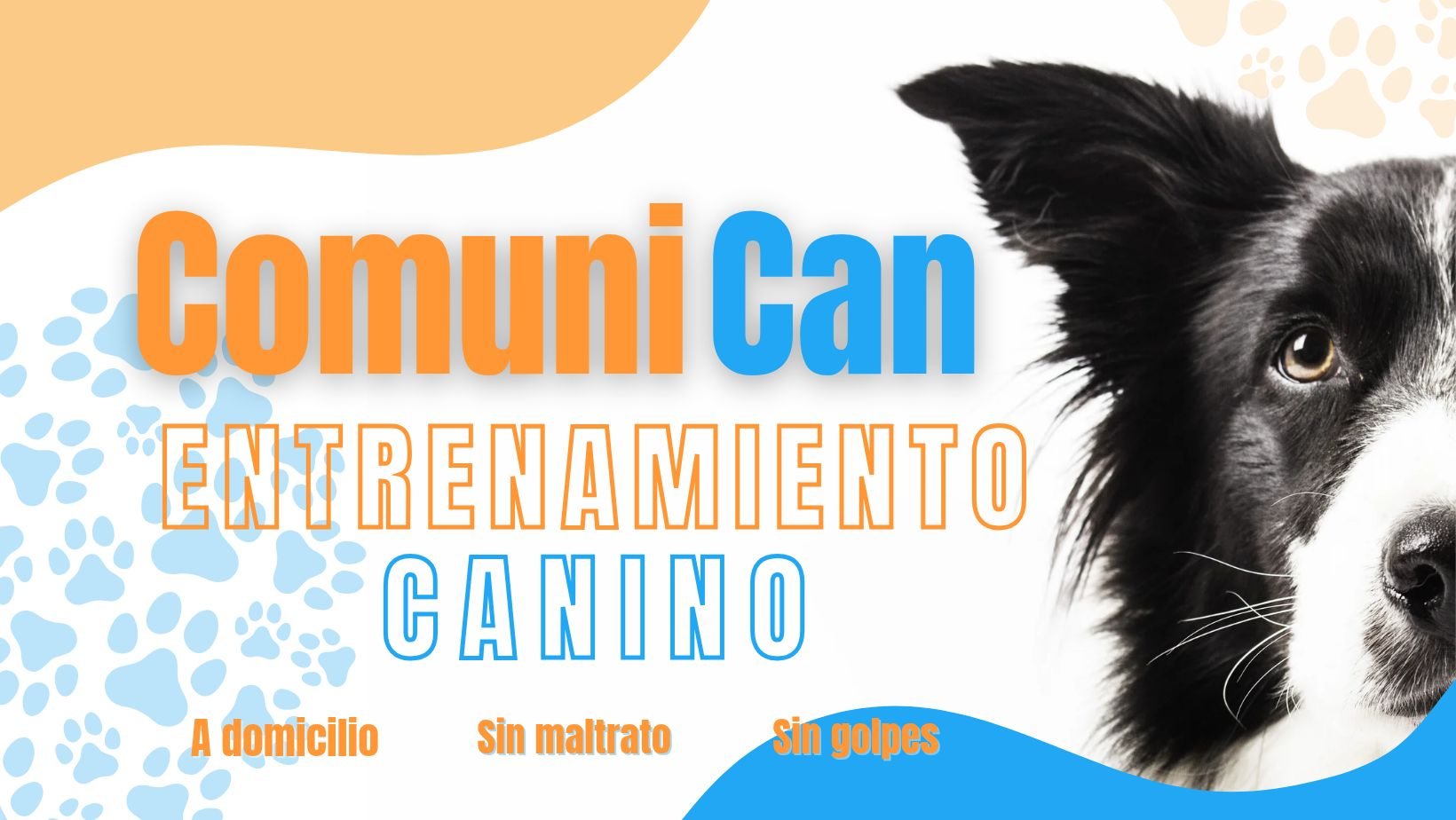 Comuni-Can - Entrenamiento canino en positivo